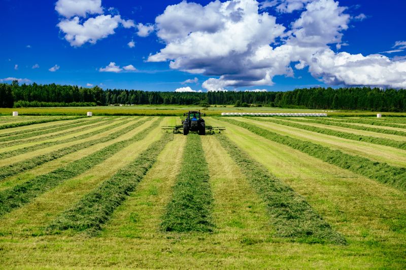 Pasture Mowing in Calvert County, MD