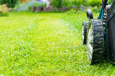 Weed and Pest Control