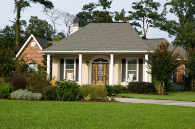 Promotes Healthier Grass